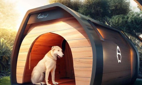 Tesla Dog House  Dog Mode On Tesla  Is Tesla Dog Mode Legal